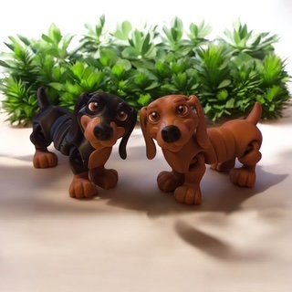 Dachshund - Image 3