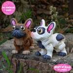 French Bulldog - Image 3