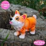 Corgi dog - Image 3